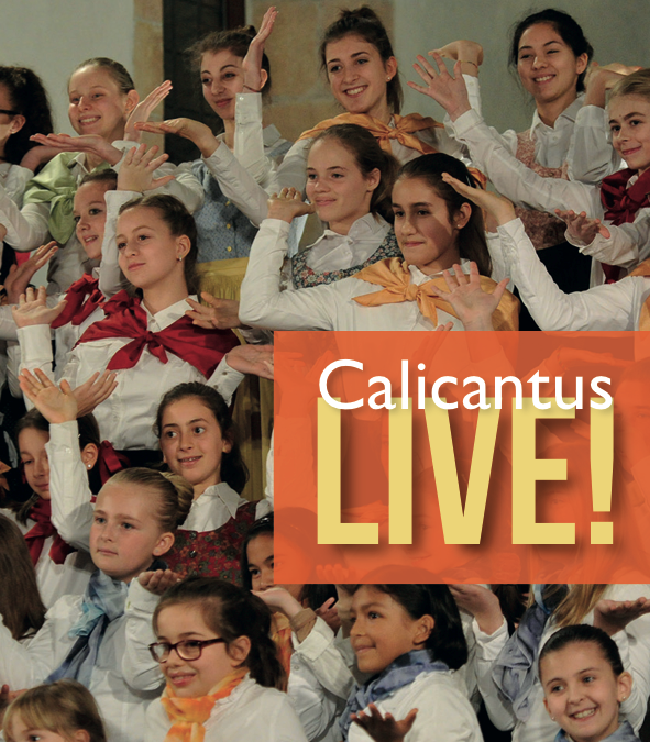 Calicantus LIVE – 2015